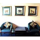 Movenpick Wilderness Hotel — Room at