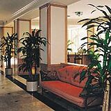 Signum Resort Miami Beach — Signum Besort Miami Beach Lobby