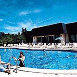 Garden Club — Pool at the