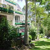 Palm Court