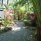Sundancer Cabanas