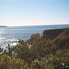 The Harbor at Depoe Bay — - View From Balcony