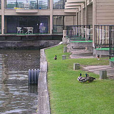 The Landing at Seven Coves