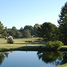Holly Lake Ranch