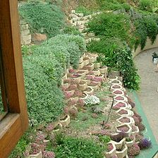 Perna Perna Mossel Bay — - Garden