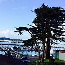 Smuggler's Cove Resort West — Sample view from the front window.