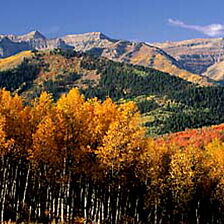 Victorian Village — Autumn Fireweed