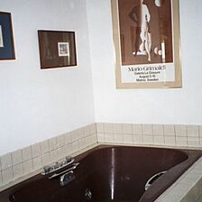 Tristram's Landing — - Unit Jacuzzi