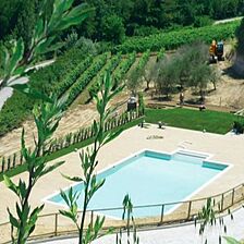 Hilton Grand Vacations at Borgo alle Vigne — Pool