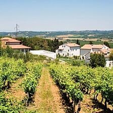 Hilton Grand Vacations at Borgo alle Vigne — Exterior