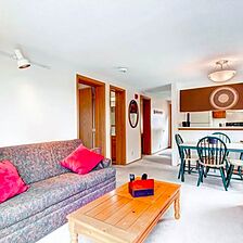 Mark IX Condominiums — Living Area