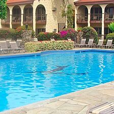Maui Lea at Maui Hill — Pool