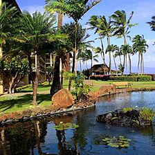 Papakea Resort — Grounds