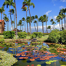Resort at Papakea — Grounds