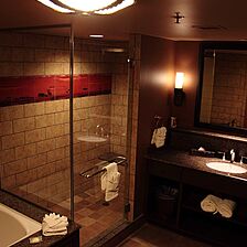 Disney's Animal Kingdom Villas - Kidani Village — Sample One-Bedroom Villa Bathroom