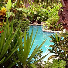 Club Mahindra Snowview Resort &mdash; - Pool