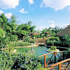 Dreams La Romana Resort and Spa — Grounds