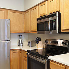 The Falls Village Resort &mdash; Sample unit kitchen