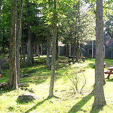 Tanglwood Resort &mdash; - Grounds