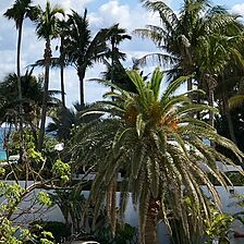 Surf Rider Resort — Grounds