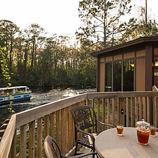 Disney's Saratoga Springs Resort & Spa — Sample Treehouse Villas Patio