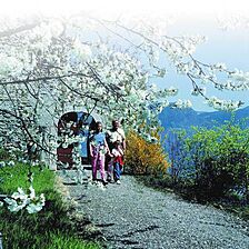 Ferienclub Breitenbergerhof