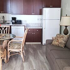 Lifetime in Hawaii — Sample Living Area