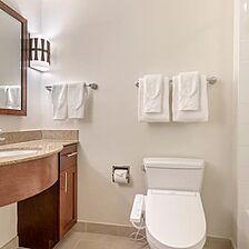 Lagoon Tower by Hilton Grand Vacations — Sample Bathroom