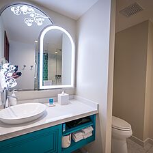 Villas at Disneyland Hotel — Duo Studio Bathroom