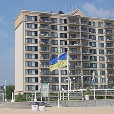 The Colony