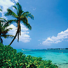 Sandyport Beaches Resort — - View From Resort
