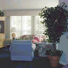 Ocean Palms Resort at Port Royal &mdash; - Unit Living Area