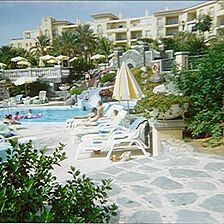 Palm Oasis — - Pool