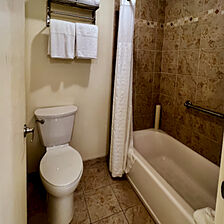 other bath has shower