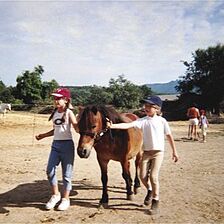 La Bastide du Roy Rene — - Horseback Riding