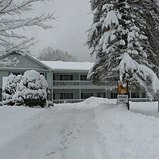 Forest Glen Inn