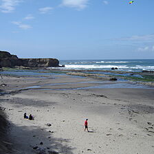 The Inn at Otter Crest — Beach below the resort