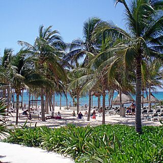The Grand Mayan at Vidanta Riviera Maya &mdash; Grounds