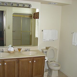 The Historic Powhatan Resort — Bathroom