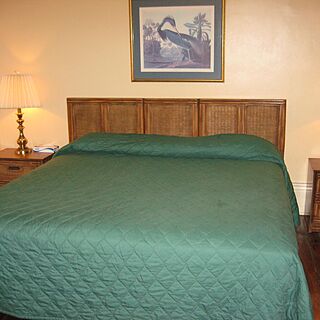 The Courtyards &mdash; Unit master bedroom