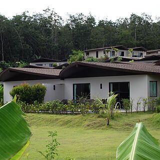 The Village Coconut Island