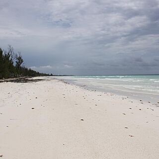 Ocean Reef Yacht Club & Resort — Beach
