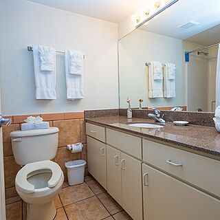 Island Seas Resort — Bathroom