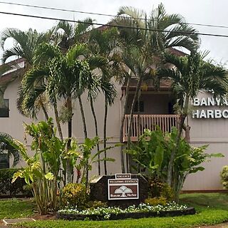 Banyan Harbor Resort