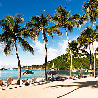 The Westin St. John - Coral Vista Villas — Resort Beach With Loungers and Umbrellas