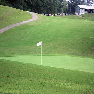 The Pines at Alpine Bay — Golf Course