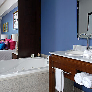 The Grand Mayan at Vidanta Los Cabos — Sample Bathroom