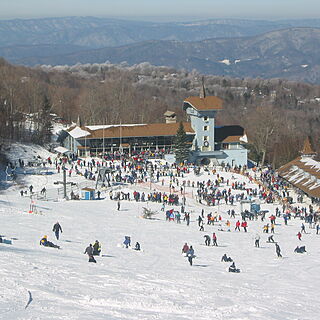Christie Village &mdash; Area Skiing