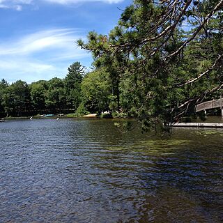 Treehouse Village at Lake Forest