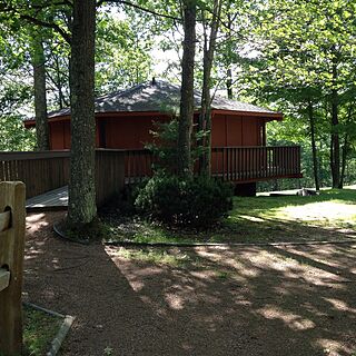 Treehouse Village at Lake Forest